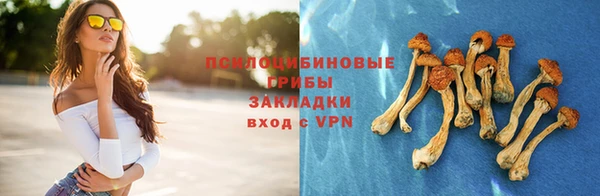 стафф Алексеевка