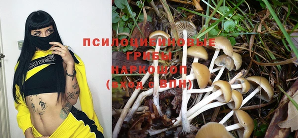 стафф Алексеевка